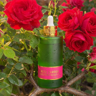rose garden hair body beauty oil shea butter fenugreek rose essential oil luxury
