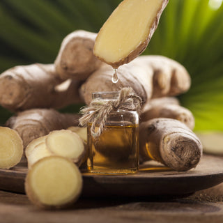 Ginger: The Ancient Warming Root That Modern Science Is Finally Catching Up With