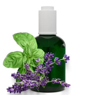 Face & Body Mist - Lavender & Basil - Botanical SPA