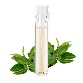 Green Tea Essential Oil CO2 Extract – Natural Scalp Treatment & Hair Growth Oil | Antioxidant Skin Serum for Sensitive Skin
