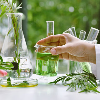 Botanical Green Lab real formulas made with natural, high-quality ingredients for effective hair and body care