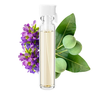 BOTANICAL GREEN LAB Face & Eye Serums Sample Size (0.06 Fl Oz) Bakuchiol & Tamanu Face Oil Serum | Natural Retinol Alternative | Vitamin C & Astaxanthin | Gua-Sha Tool Included | Essential Moisture